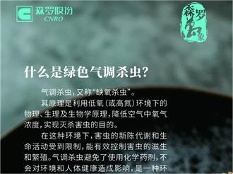 《森羅萬象》，萬象包羅 第12問